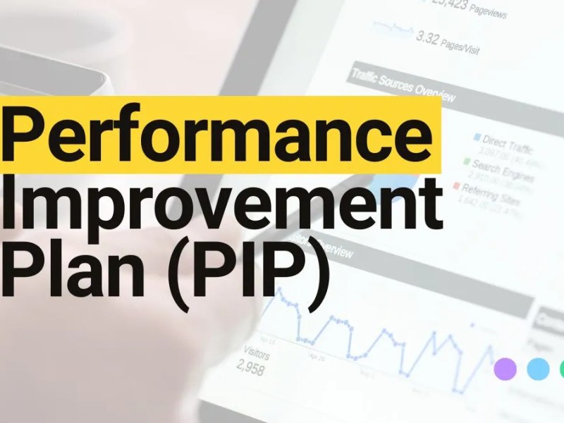 “PIP” What? Why? Business Need?